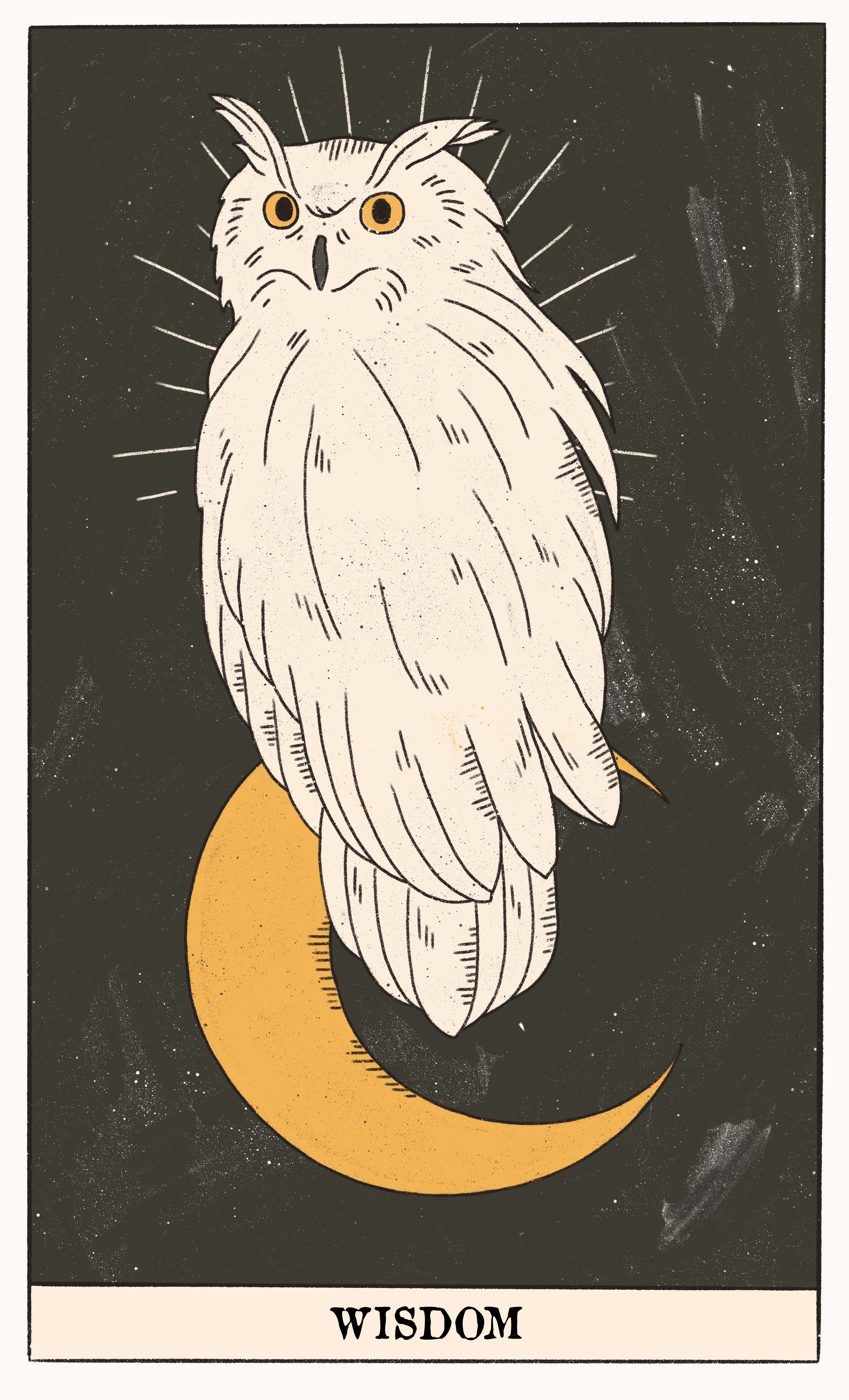 Wisdom